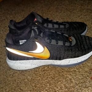 Nike LeBron xx